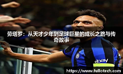星空·综合体育官方网站
